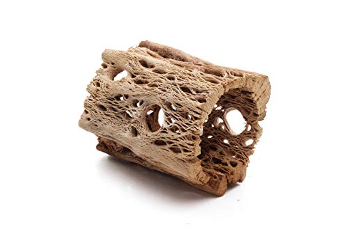 3 to 48 Inch All Natural Teddy Bear Cholla Wood Extra Hollow Large Untreated Organic Aquarium Driftwood Decoration Chew Toy Shrimp Crab Multi-Quantity (3 Pieces, 3 inch) - size: 3 Pieces, 3 inch