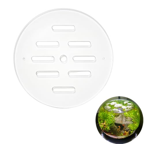 OLYCRAFT Acrylic Aquarium Anti-Jumping Lids Cover Round Acrylic Plate Fish Tank Covers with Hole 5.9 Inch Round Aquarium Protection Lid Aquariums Cover Lid to Prevent Fishes for Turtles Shrimps Fish - size: 5.9 Inch