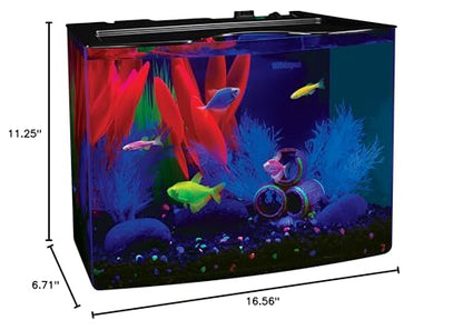 GloFish Crescent Aquarium Kit 5 Gallons, Includes Hidden Blue LED Light And Internal Filter - size: 5-gallon crescent kit