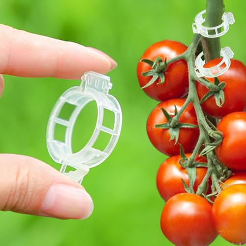 Trellis Clips for Climbing Plants Outdoor,Plant Support Clips Reusable Garden Clips,Tomato Clips, Plastic Trellis Clips,Garden Plant Clips to Grow Upright Makes Plants (50, White)