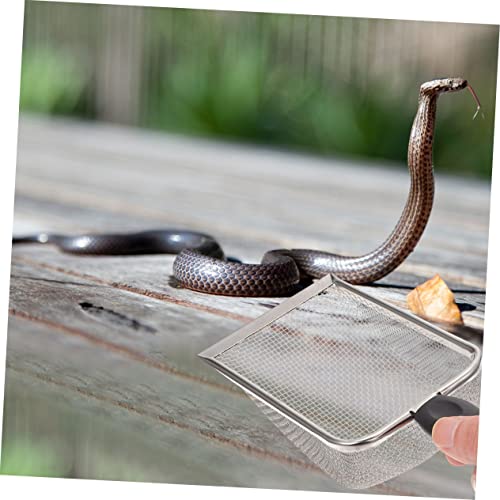 TOYANDONA 2pcs Portable Stainless Steel Reptile Shovels for Easy Substrate Cleanup Durable Household Scoopers for Tortoise Lizard and Scorpion Care