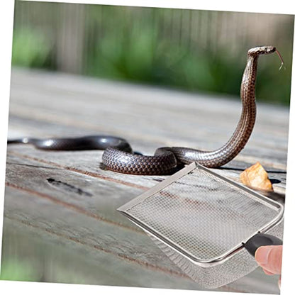 TOYANDONA 2pcs Portable Stainless Steel Reptile Shovels for Easy Substrate Cleanup Durable Household Scoopers for Tortoise Lizard and Scorpion Care