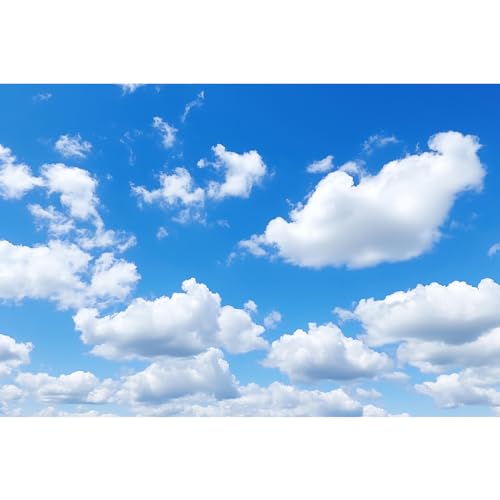 Blue Sky Aquarium Background Tiny Cloudy Cumulus Fish Tank Background White Clouds in Clear Blue Sky Reptile Tank Backgrounds Cloudy Blue Skys Reptile Enclosure Backgrounds Wallpaper Poster 24x12in - color: Blue_White, size: 24(W)x12(H)inches/ 60(W)*30cm(