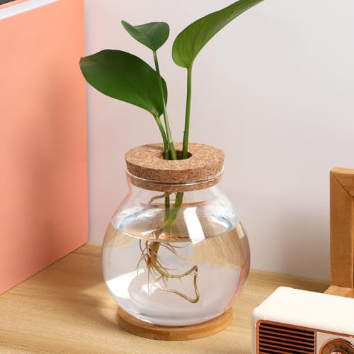 POPETPOP Desktop Glass Fish Bowl - Round Small Fish Tank | with Wood Stopper & Bamboo Mat, Clear Glass Betta Fish Bowl for Succulent Plants, Hydroponic Air Plant (5.5X5.1 Inch)