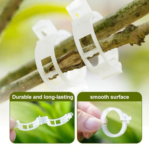 Secured Plastic Plant Clip, 2025 Upgrade Plant Support Clips Reusable Garden Clips, Garden Clips for Climbing Plants, Plastic Trellis Clips Tomato Grape Vine Vegetables Plant Fixing Clips (50, Black) - color: Black