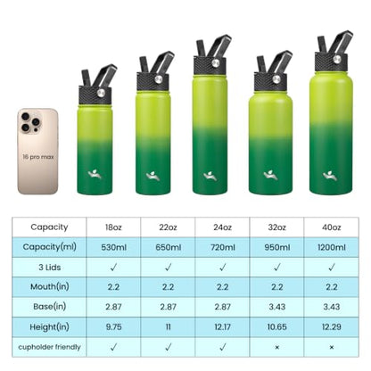 Konokyo 18 oz Insulated Water Bottle Stainless Steel Sport Bottles with 3 Lids,Bamboo Grove - color: Bamboo Grove, size: 18 Ounces