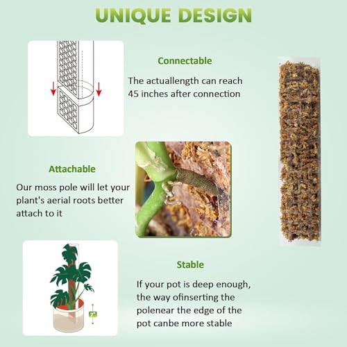EOX 6 Pcs 15 Inch Plastic Moss Pole for Monstera, D Shaped Poles for Climbing Plants Work with Sphagnum Moss, 80 Inch Plant Stake Set of 6, Garden Ties - size: 6 PACK-15Inch-no moss included