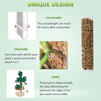 EOX 8 Pcs 15 Inch Plastic Moss Pole for Monstera, D Shaped Poles for Climbing Plants Work with Sphagnum Moss, 106 Inch Plant Stake Set of 8, Garden Ties - size: 8 PACK-15Inch