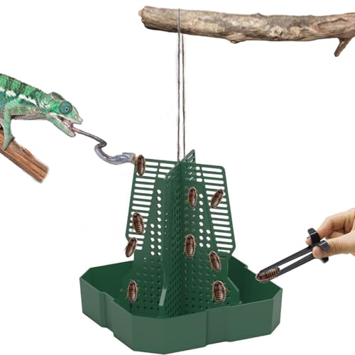 Chameleon Feeder Bearded Dragon Feeder for Mounted Insect（Medium） | Plastic,Anti-Escape,Crested Gecko Tank Accessories,with Rope and Tweezers,for Lizard Bearded Dragon Gecko Frog - size: Medium