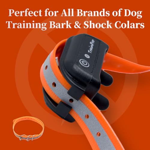 Waterproof TPU Replacement Strap for Dog Training Collar, 27.5 in - color: Orange Reflect