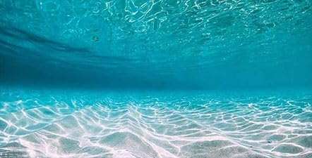 30X18IN Natural Undersea Aquarium Background, Undersea Beach Fish Tank Background, with 8 EVA Double-Sided Tape - color: Sea, size: 30X18in/75X45cm