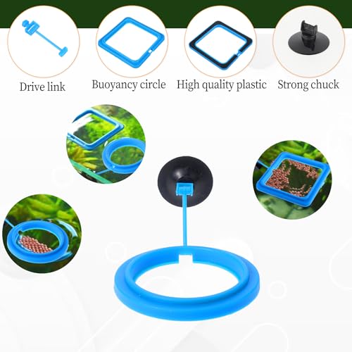 2 Pcs Fish Feeding Ring, Aquarium Feeding Ring Turtle Tank Accessories Automatic Square and Round Floating Food Feeder with Suction Cup for Betta Guppy Goldfish (Blue) - color: Blue