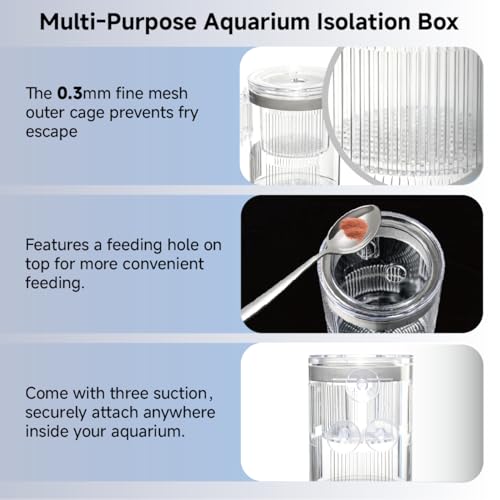 Floating Breeder Box for Fish Tank, Acrylic Baby Aquarium Isolation Box Hatchery Incubator Tank with Suction Cups for Guppy, Betta, Clownfish, Baby Fish, Shrimp & Injured Fish (M) - size: M