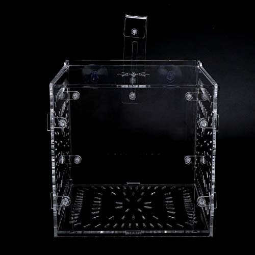 Fish Tank Breeding Box Aquarium Isolation Box High Transparency Adjustable Height Sturdy Acrylic Material for Fish Shrimp Isolation Transparent 15x15x15cm 30x15x15cm 20x20 (15CM*15CM*15CM)