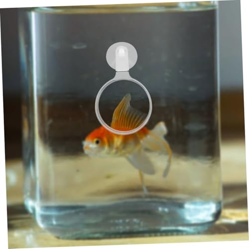 4pcs Acrylic Fish Tank Glass Cup for Close-up Viewing of Betta Fish Landscapes Ants Spiders and Plants Easy Installation and Observation Tool