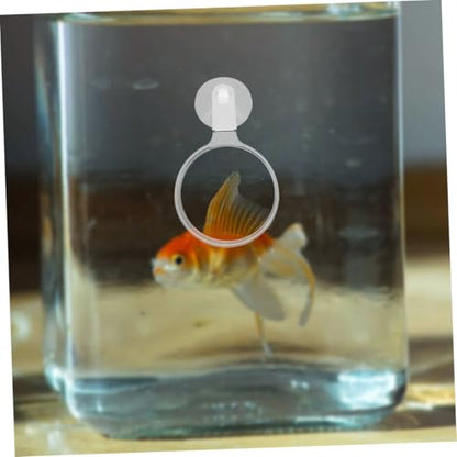 4pcs Acrylic Fish Tank Glass Cup for Close-up Viewing of Betta Fish Landscapes Ants Spiders and Plants Easy Installation and Observation Tool