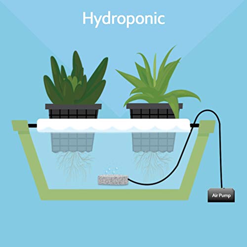 SLOCME 4 Inch Aquarium Air Stone - Air Bubble Stone with Suction Cup Dissolving Oxygen Diffusers Air Pump Accessories for Aquarium Fish Tank