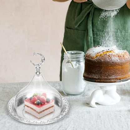 YARNOW Electroplating Metal Storage Tray with Clear Dome Lid 8 Inch Silver Serving Platter for Food Display and Cheese Presentation in Home Kitchen