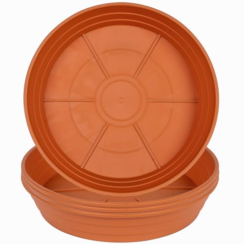 Plant Saucer 6 Inch 4 Pack 6 8 10 12 14 16 18 20 25, Plastic Plant Trays for Pots，Extra-Deep Plant Water Dray Tray, Bird Bath Bowl, Heavy Flower Plant saucers Indoors and Outdoor No Holes 6in-4 red - color: Terracotta, size: 6in(4 Pack)