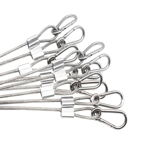10 pcs 12 inch Vinyl Cover Coated Stainless Steel Wire Rope Lanyard Cable Tether Safety Strap with Hooks and 2 Loops (4mm Thickness), Clear - color: 10pcs_Clear, size: 12"/30cm