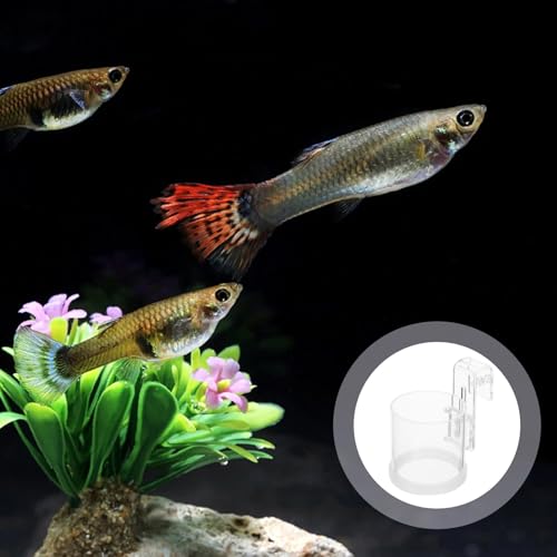 Happyyami Reusable Acrylic Fish Feeder Ring with Hook Large Aquarium Feeding Circle for Fish Tanks Floating Food Holder for Aquarium Supplies