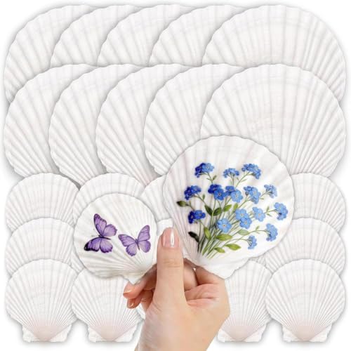25PCS Large Scallop Shells for Crafts, 2-5 in White Sea Shells, Mixed-Size | 10PCS 4-5in & 15PCS 2-3in Smooth, cleaned surfaces suit painting, baking displays, weddings, classrooms and ocean parties. - size: 25PCS（2 Sizes Mixed)