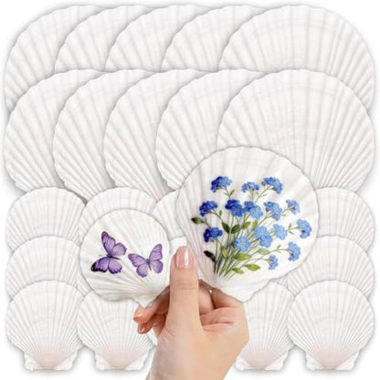 25PCS Large Scallop Shells for Crafts, 2-5 in White Sea Shells, Mixed-Size | 10PCS 4-5in & 15PCS 2-3in Smooth, cleaned surfaces suit painting, baking displays, weddings, classrooms and ocean parties. - size: 25PCS（2 Sizes Mixed)