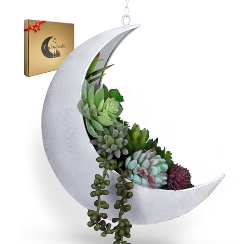 Hanging Moon Planter for Moon Room Decor - Great for Succulents, Air Plant, Mini Cactus, Faux, Artificial Plants-Boho Hanging Planters for Indoor Plants, Witchy Gifts for Women, Birthdays,Plant Lovers - color: Rustic White Moon Planter Only