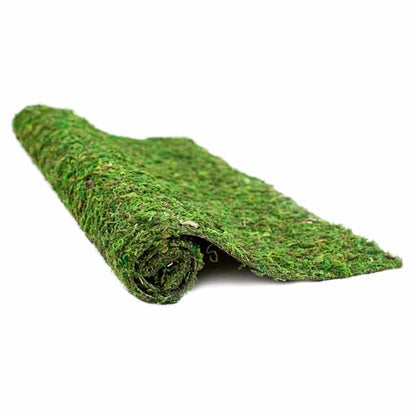 Galápagos (05094) CrashPad, Mossy Terrarium Liner, Natural, 18 x 36 in