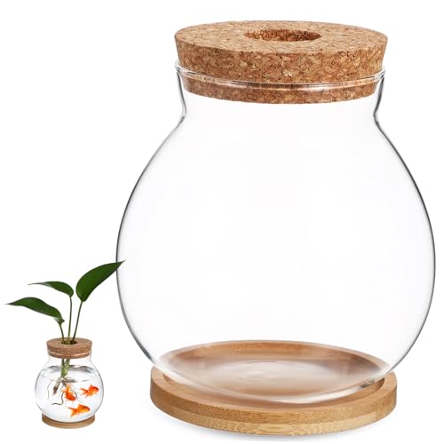 Toyvian Desktop Glass Fish Bowl with Lid Small Hydroponic Betta Tank Includes Mat for Easy Placement for Home Office Dining Table Decoration