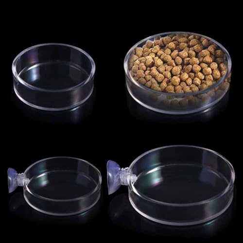 Shrimp Food Box, Round/Square Practical Fish Feeding Bowl, Acrylic Transparent Aquarium Accessories Fish Feeding Dish Shrimp Food Feeding Circle(B) - style: B