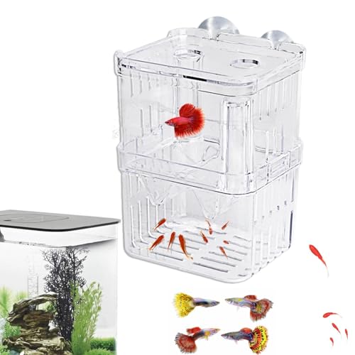 1/2 Fish Acclimation Box - Acrylic Hatchery Incubator Tank, Fish Breeder Box with 2 Suction Cups | Easily Install Breeding Isolation Box, Floating Breeding Box for Baby Fishes Shrimp Betta Guppy - size: Medium