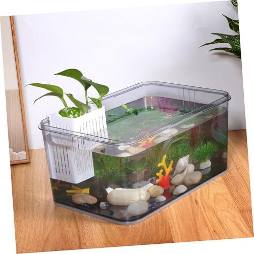 Happyyami 2pcs Aquarium Plant Holder Baskets Aquatic Plant Cup Cultivation Baskets Fish Tank Live Pot Easy to Install Wall Hanging Aquarium Supplies