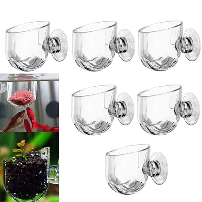 6 Pcs Aquarium Plant Holder Universal Transparent ABS Plastic Fish Tank Plant Holder with Suction Cups for Aquarium Decoration Accessories
