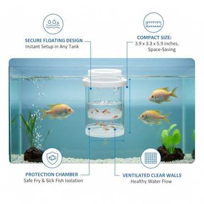 Floating Fish Isolation Box, PP Plastic in-Tank Separator for Fish Isolation (1 PC)