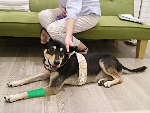 FRESINIDER 9 Rolls Self Adhesive Wrap Athletic Tape Gauze, Breathable Elastic Cohesive Bandage for Sports Injury & Pet (7 Pcs 2" x 5 Yards + 2 Pcs 1" X 5 Yards) (Green) - color: Green