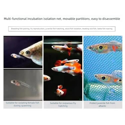 3 Multi-Purpose Floating Aquarium Enclosure Removable Breeding Net Transparent Nursery Box for Fish Fry Observation Transparent Box Multi-Purpose Enclosure Removable Net - color: B