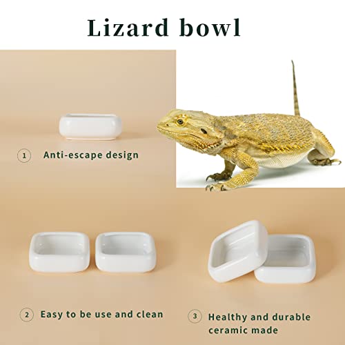 Ceramic Reptile Food Bowls, Reptile Water Food Dish (White, Small 2-Pack)