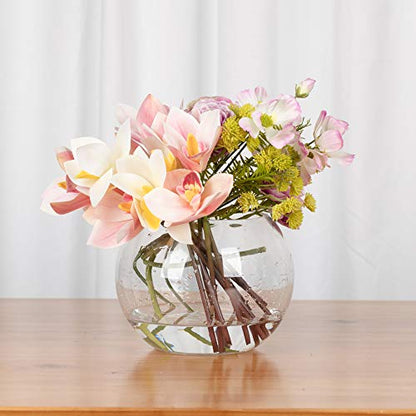 WGV Bowl Glass Vase Bulk, Diameter 8", Height 6", Open Width 5", (Multiple Sizes Choices) Clear Bubble Planter Terrarium Fish Bowl for Wedding Event Home Decor, 6 Pieces (VBW0008A) - size: 8"D 1 Case