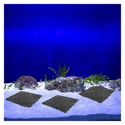 5Pcs Sand Dividing Board Fish Tank Bottom Filter Plates Aquarium Divider Grid Multi-Hole Design Aquarium Supplies