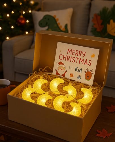 AceList Moon String Lights, 9.8FT 20 LED Decorative Fairy Lights, USB & Battery Powered for Bedroom, Party, Dorm, Camping, Mother’s Day, Holiday and Everyday Home Decor