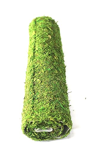 Preserved Moss Runner and Mats (18in x 48in Runner) - color: 18in X 48in Runner
