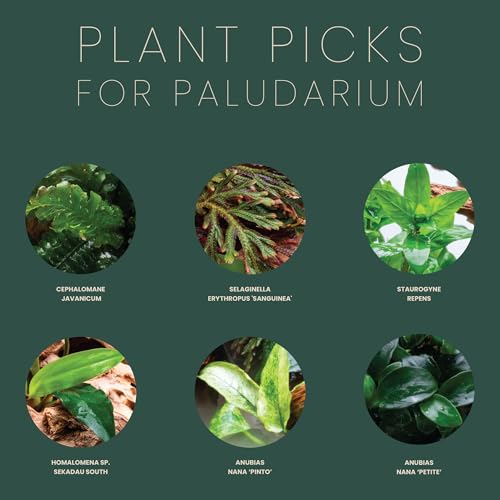 Ultum Nature Systems Rimless Paludarium - Ultra Clear Low Iron Glass with Mitired Edges, Bulkheads and Leveling Mat Inluded (5E) - style: 5E