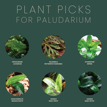 Ultum Nature Systems Rimless Paludarium - Ultra Clear Low Iron Glass with Mitired Edges, Bulkheads and Leveling Mat Inluded (5E) - style: 5E