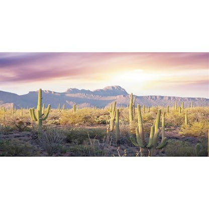AWERT Reptile Habitat Background Blue Sky Oasis Mountain Cactus Sun and Desert Terrarium Background 36x18 inches - size: 36x18in/90x45cm