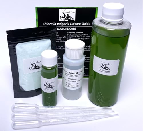 Complete Green Water (Chlorella vulgaris) Culture and Expansion Kit: One 8 oz Working Container, One 1 oz Backup Container, Harvesting Tools, and Tap Water Conditioner - Live phytoplankton