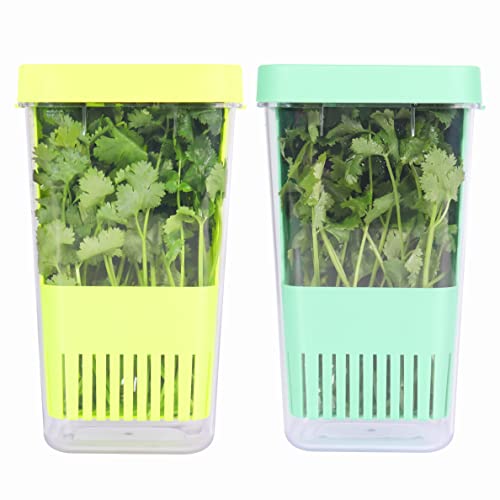 LUVCOSY 2 Pack Herb Keeper, BPA-Free Plastic Herb Saver with an Inner Basket for Cilantro, Mint, Parsley, and Asparagus, Keeps Fresh Herbs for 3 Times Longer - color: Herb Keeper - Green & Blue