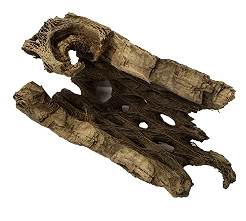 Natural Cholla Wood Chunk Air Plant Display Holders Individually Unique Decorative Stands Holder (Cholla Chunk) - style: Cholla Chunk