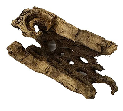 Natural Cholla Wood Chunk Air Plant Display Holders Individually Unique Decorative Stands Holder (Cholla Chunk) - style: Cholla Chunk