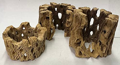 3 Natural Cholla Wood Air Plant Display Holders Individually Unique Round Decorative Stands (3 Pack Cholla Rounds) - style: 3 Pack Cholla Rounds